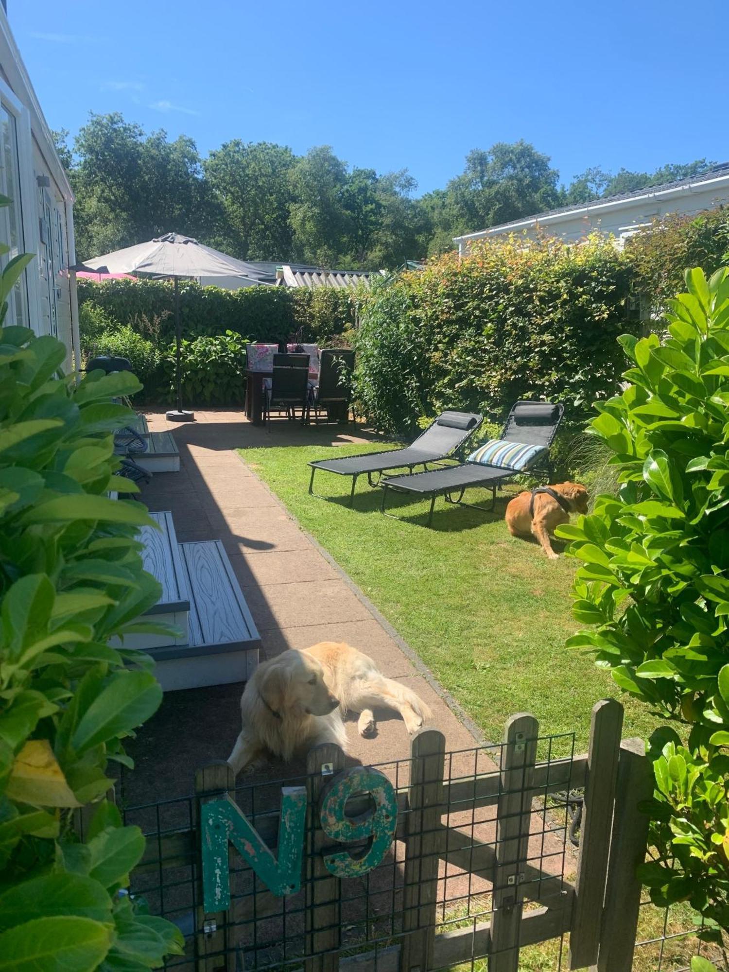 N 9Strandnahes, Hunde-Familienfreundliches Ferienhaus Callantsoog Eksteriør bilde